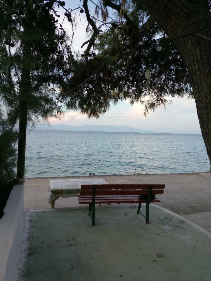 Balcony To Waves Διαμέρισμα Aigeira Εξωτερικό φωτογραφία